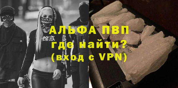 шишки Краснослободск