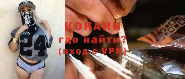 шишки Краснослободск