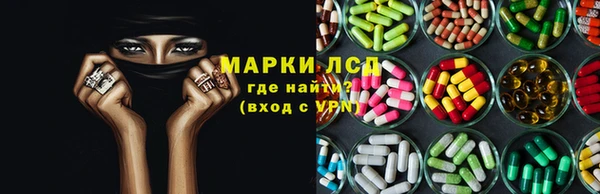 шишки Краснослободск