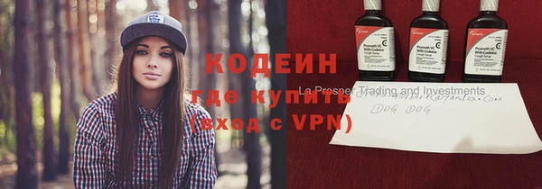 шишки Краснослободск