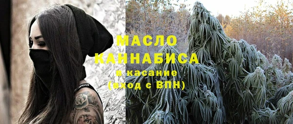 шишки Краснослободск