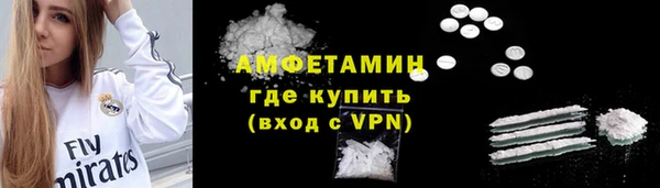 шишки Краснослободск
