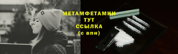 сатива Краснотурьинск