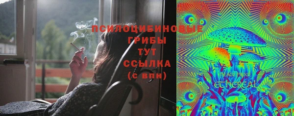сатива Краснотурьинск