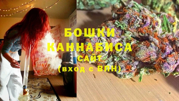 сатива Краснотурьинск