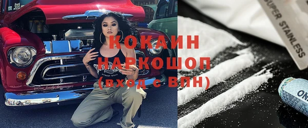 шишки Краснослободск