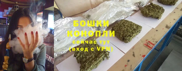 индика Кукмор