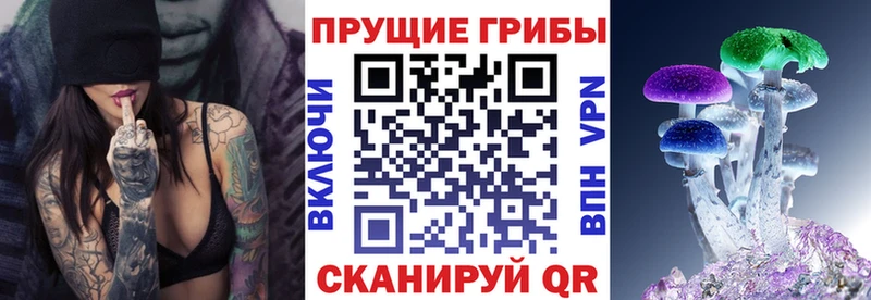 Псилоцибиновые грибы Cubensis  Купить закладки  Муравленко 